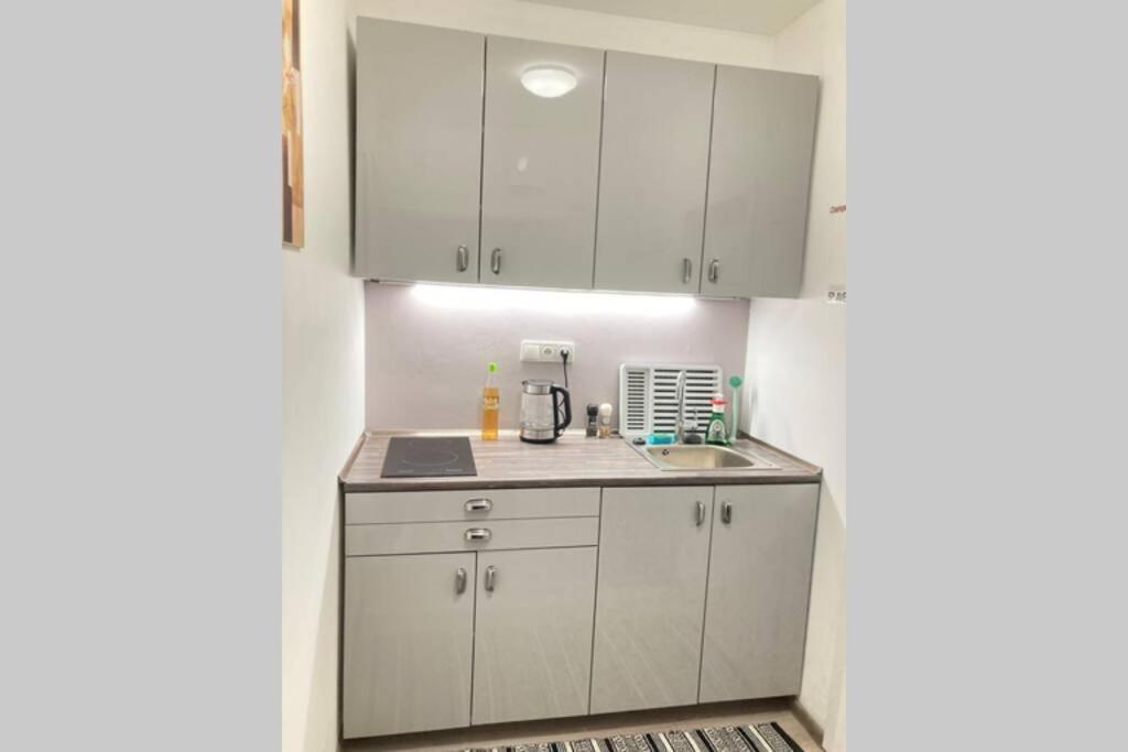 Apartmán Byt Ve Vršovicích K Pronajmutí - Cozy Vršovice *